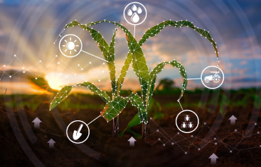 Agricultural-sector.png